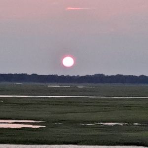 Meet your Posher, Katrina